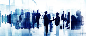 Directors and Officers Liability