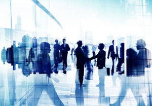 Directors and Officers Liability