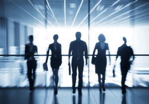 Professional Indemnity Insurance