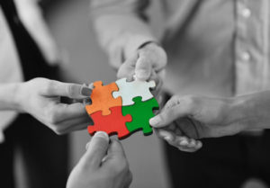 Defined Contribution Plan